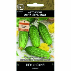 Огурец: сорт Нежинский