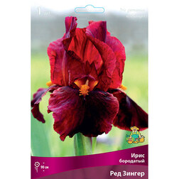 Ирис бородатый Ред Зингер (Iris germanica Red Zinger)