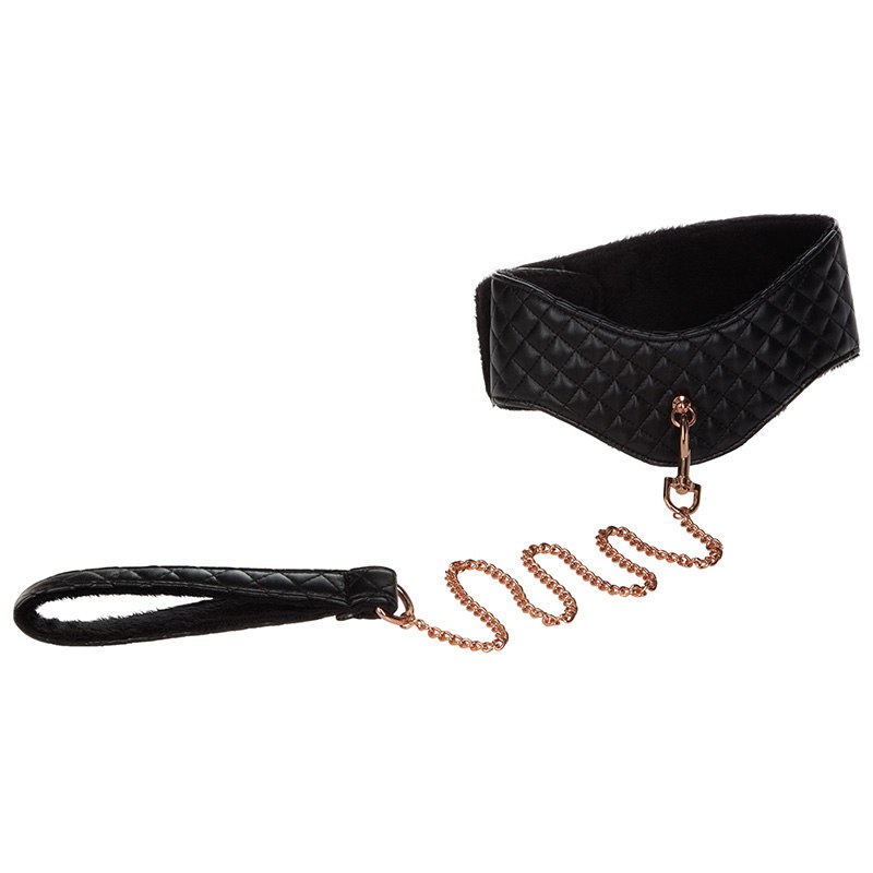 Ошейник Entice Posture Collar with Leash с поводком – черный