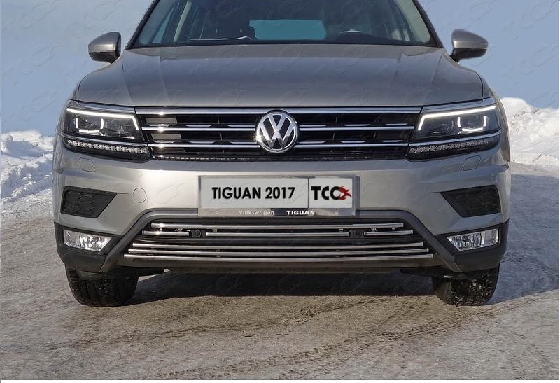 Решетка радиатора 16мм (нижняя,пакет Offroad) VWTIGOFR17-46 для Volkswagen Tiguan 2017-