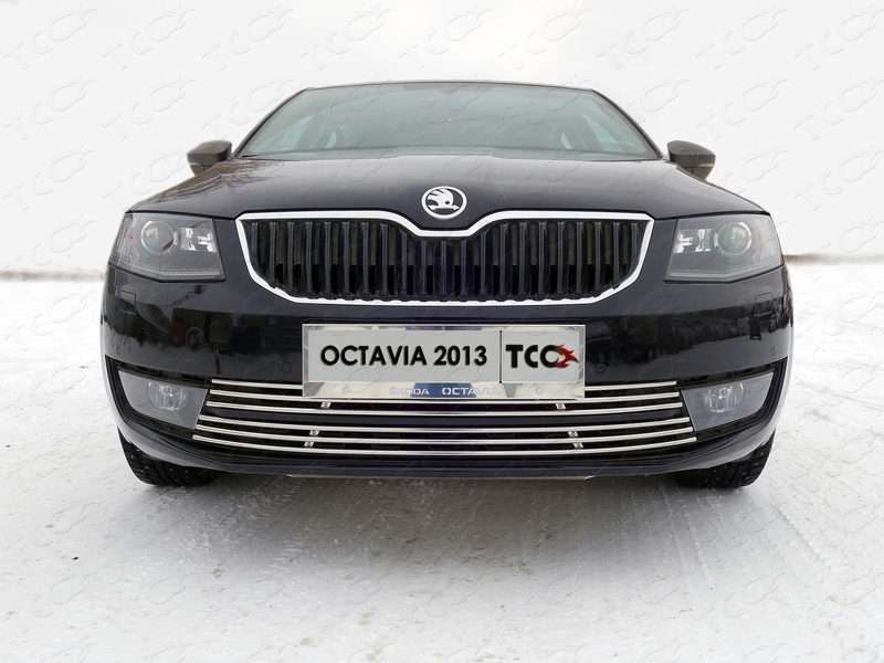 Рамки номерного знака 2шт (нержавеющая сталь) TCC SKOOCT-01RN для Skoda Octavia 2020 -