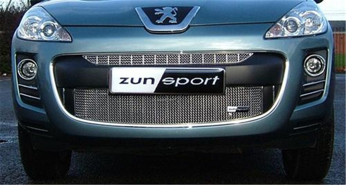 Радиаторная решетка Zunsport для Peugeot 4007 (2007 - 2011)