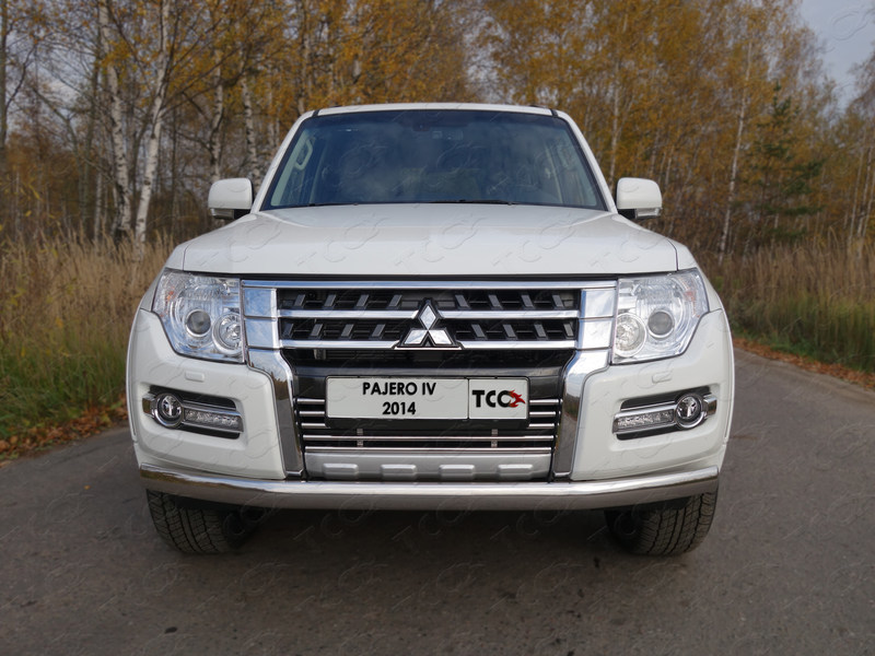 Защита передняя нижняя (овальная) 75х42 мм ТСС MITPAJ414-03 для Mitsubishi Pajero IV 2006-