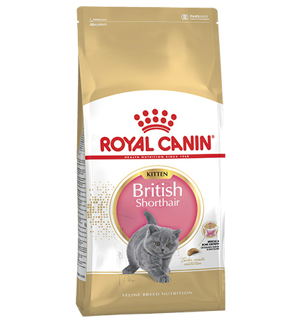 Royal Canin Breed cat Kitten British Shorthair / Сухой корм Роял Канин для Котят породы Британская короткошерстная в возрасте от 4 до 12 месяцев