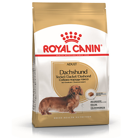  Royal Canin Breed dog Dachshund Adult / Сухой корм Роял Канин для взрослых собак породы Такса старше 10 месяцев