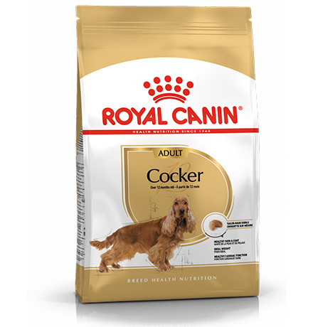   ЗооМаг Royal Canin Breed dog Cocker Adult / Сухой корм Роял Канин для взрослых собак породы Кокер Спаниель старше 1 года