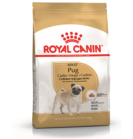   ЗооМаг Royal Canin Breed dog Pug Adult / Сухой корм Роял Канин для взрослых собак породы Мопс старше 10 месяцев