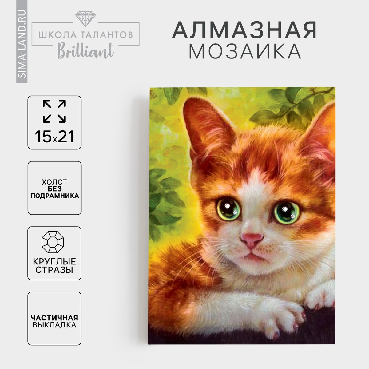Алмазная мозаика с частичным заполнением на холсте