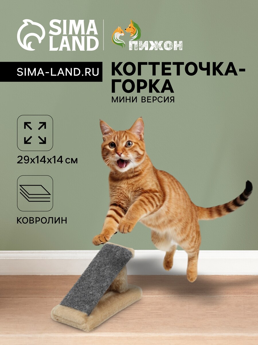 Когтеточка