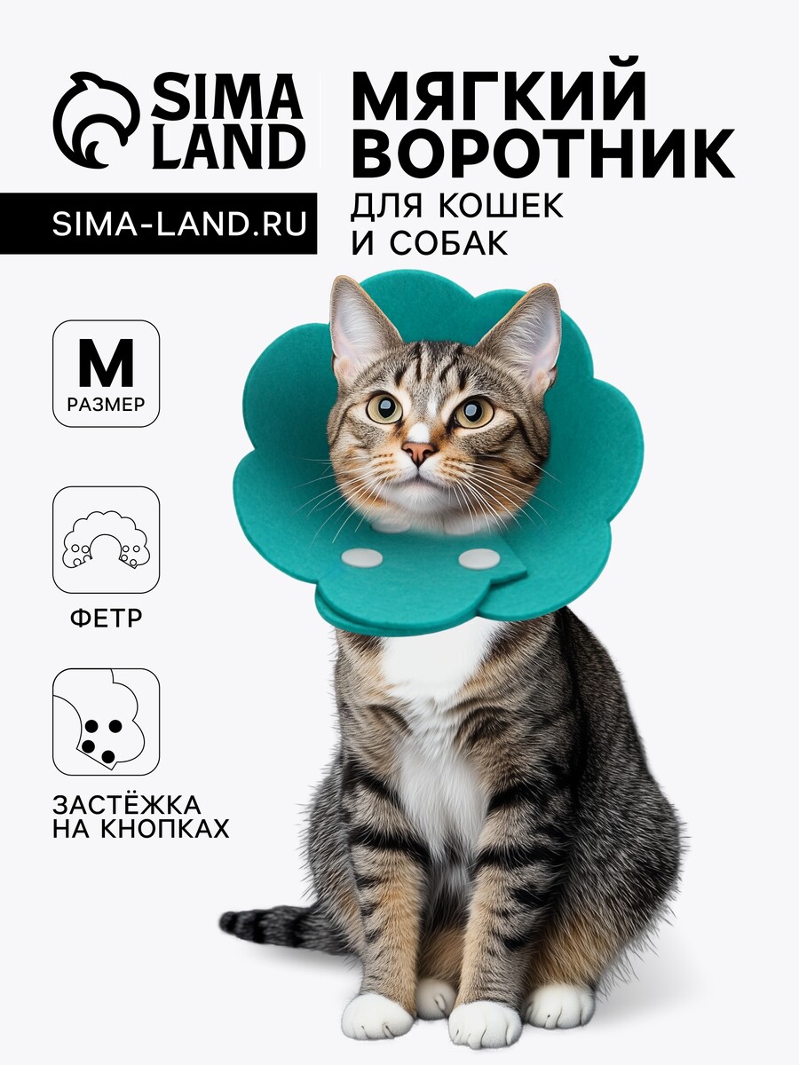   GroupPrice Ветеринарный воротник из фетра