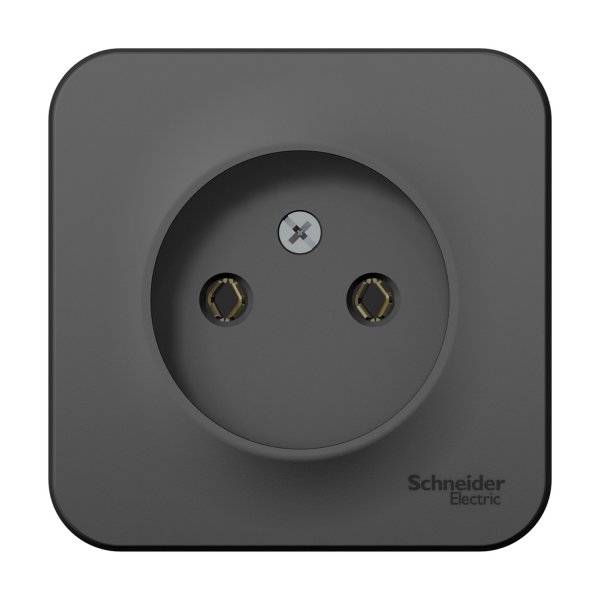 Розетка Schneider Electric Blanca BLNRA000116, открытый монтаж, однопостовая, 16A, в сборе, IP20, антрацит (BLNRA000116)