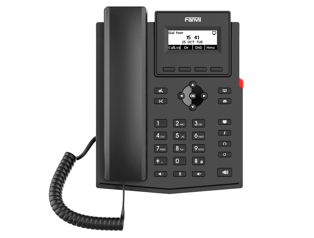 VoIP-телефон Fanvil X301P, 2 линии, 2 SIP-аккаунта, монохромный дисплей, PoE, черный (X301P)