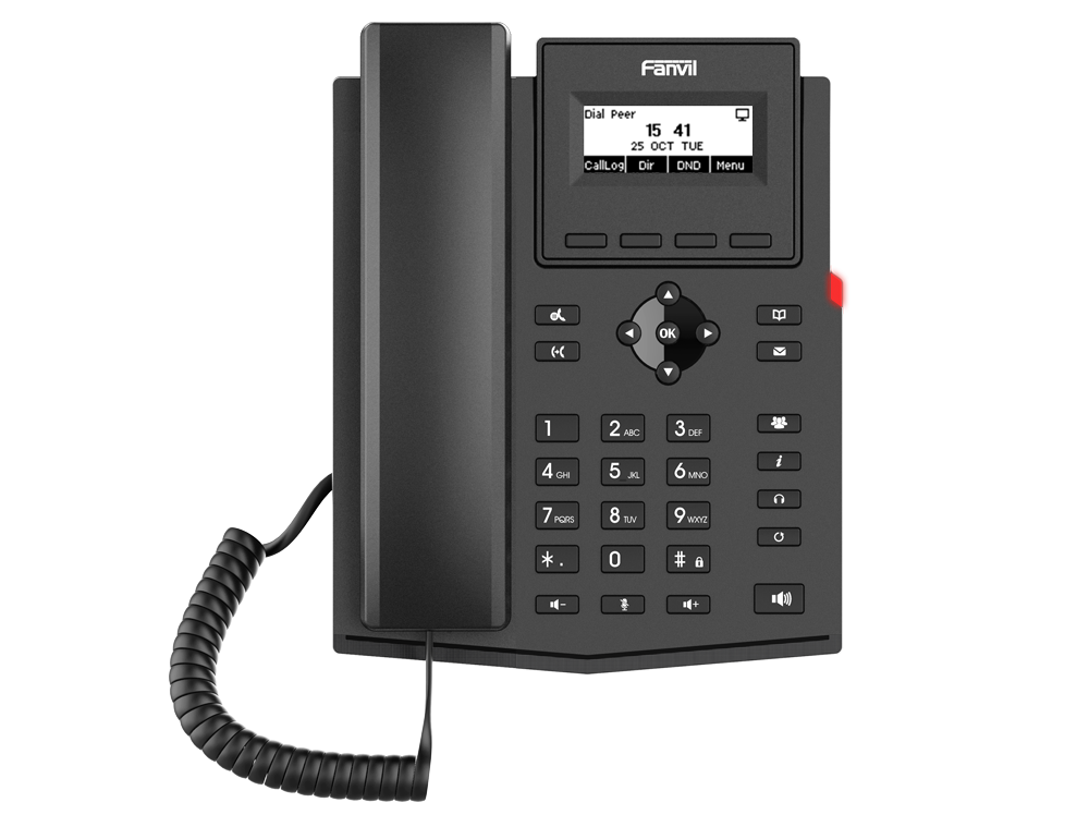 VoIP-телефон Fanvil X301, 2 линии, 2 SIP-аккаунта, монохромный дисплей, черный (X301)