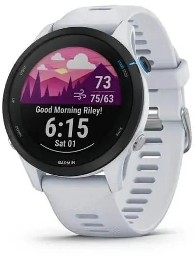 Смарт-часы Garmin Forerunner 255, 1.3 Transflective, черный/серый (010-02641-31)