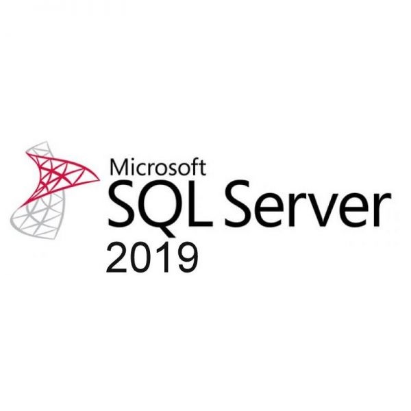 Microsoft Windows Server  E2E4 Лицензия Microsoft SQL Server 2019 Standard 2 CoreLic OnlyDwnLd C2R NR, English, электронный ключ (228-11574)