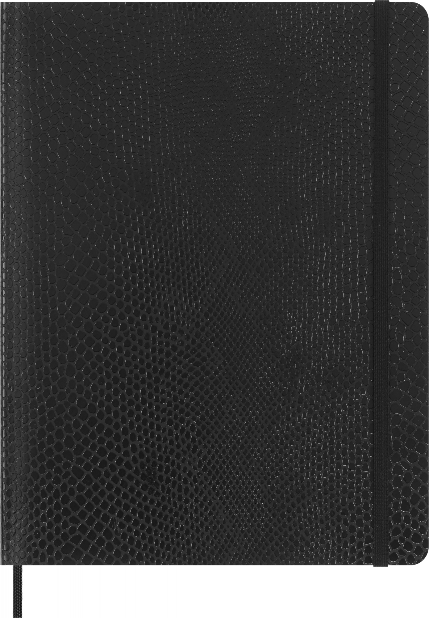 Блокнот Moleskine LIMITED EDITION PRECIOUS & ETHICAL BOA, 190х250мм, линейка, 176 листов, черный (QP621VBOABOX) (1 шт.)