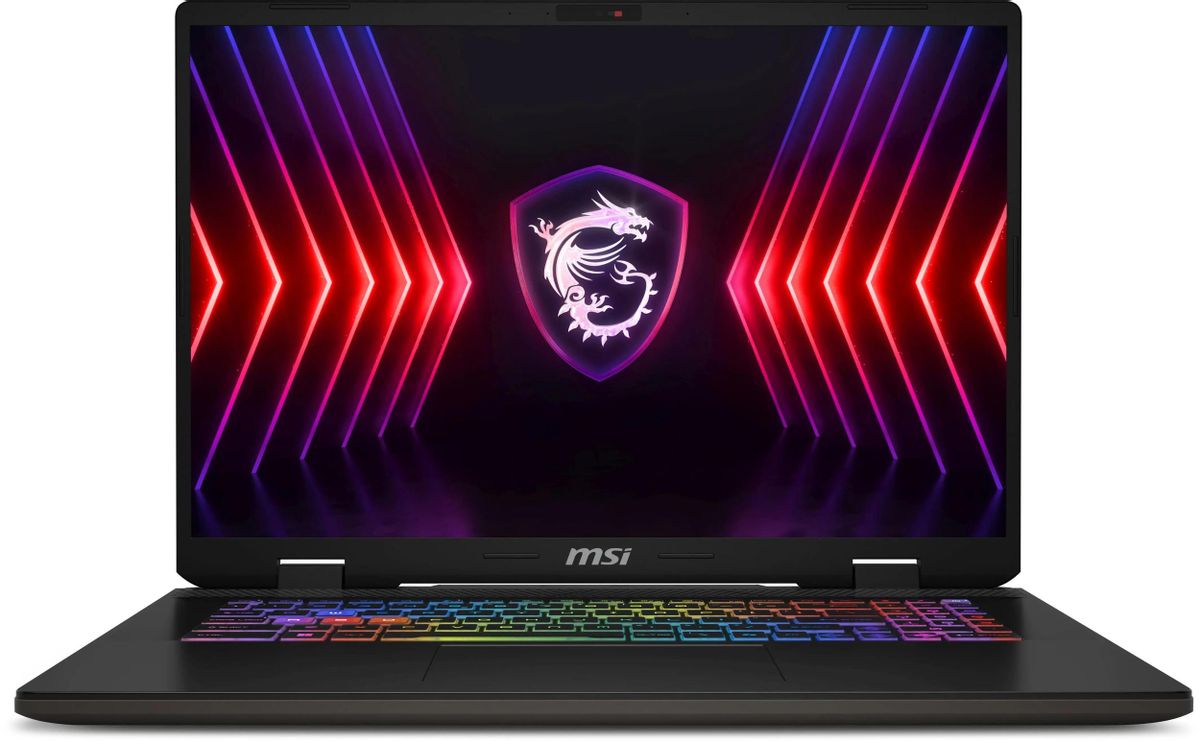 Ноутбук MSI Sword 17 HX B13VFKG-099XRU 17 IPS 1920x1200, Intel Core i7 13700HX 2.1 ГГц, 16Gb RAM, 1Tb SSD, NVIDIA GeForce RTX 4060-8Gb, без OC, серый (9S7-17T214-099)