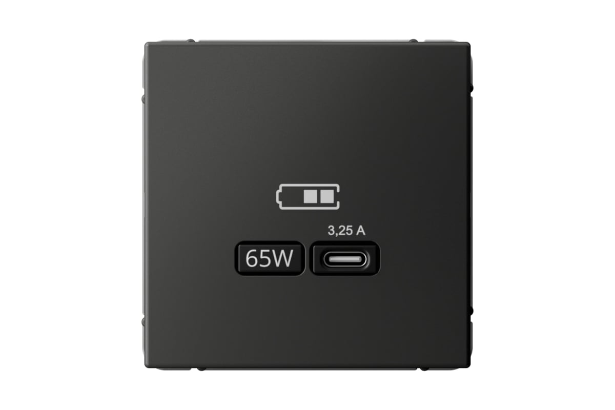 Розетки USB Розетка Systeme Electric AartGallery, USB-C, 3.25А, 65 Вт, механизм с накладкой, базальт (GAL001427)