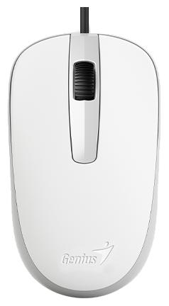 Мышь проводная Genius DX-120, оптическая светодиодная, USB, белый (31010105102)