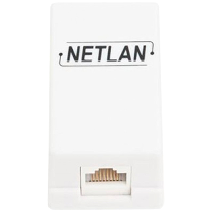   E2E4 Фурнитура-проходник RJ-45 cat.5e NETLAN, белый (10шт) (EC-UCB-55-UD2-WT-10)