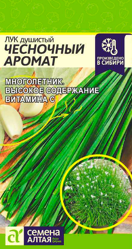 Семена Семена Алтая Лук душистый Чесночный Аромат, 0,5 г Произведено в Сибири