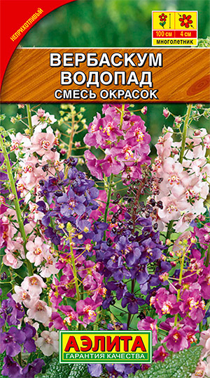 Семена Аэлита Вербаскум Водопад, Смесь окрасок, 0,1 г