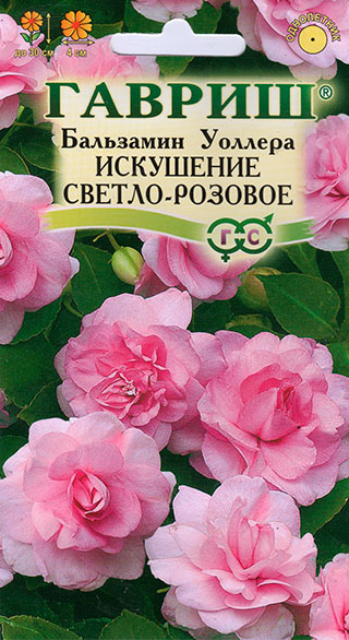 Семена Гавриш Бальзамин Уоллера Искушение Светло-Розовое, 5 шт.