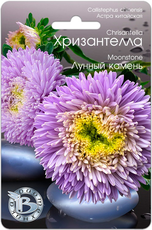  Семена Биотехника Астра китайская Хризантелла Лунный камень, 30 шт.