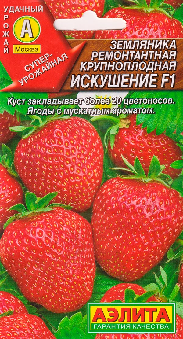 Семена Аэлита Земляника ремонтантная крупноплодная Искушение F1, 10 шт.