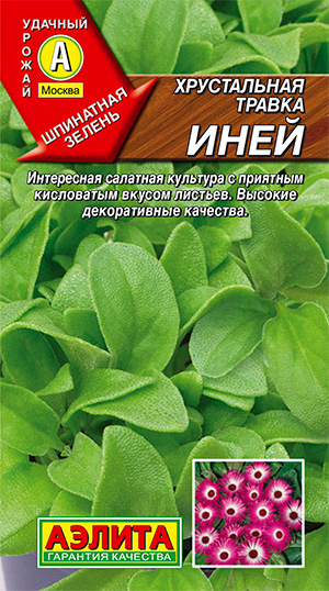 Семена Аэлита Хрустальная травка Иней, 0,02 г