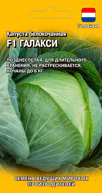 Семена Гавриш Капуста белокочанная Галакси F1, 10 шт. (Голландия)