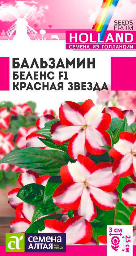  Семена Семена Алтая Бальзамин Беленс Красная звезда F1, 5 шт. Семена из Голландии