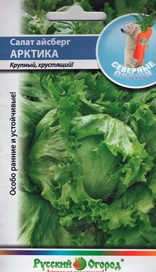 Семена Русский огород Салат кочанный Айсберг Арктика, 1 г Северные овощи