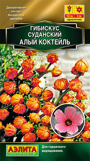 Семена Аэлита Гибискус суданский Алый коктейль, 3 шт. Высшее качество