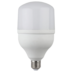 Светодиодная лампа ЭРА LED smd POWER 30W-2700-E27 - Лампочка