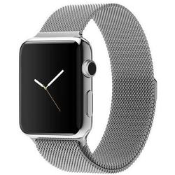 Ремешок для Apple Watch 42, 44mm (COTEetCI W6 WH5203-TS) (серебристый) - Ремешок для умных часов