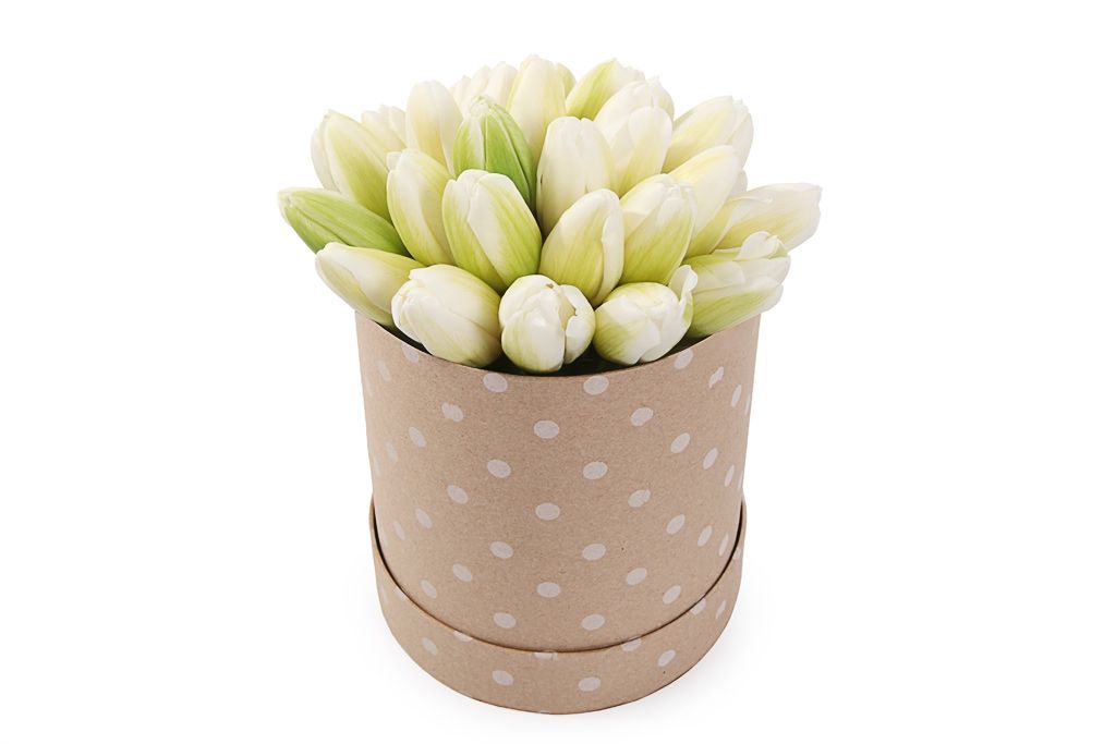 Букет 25 королевских тюльпанов в бежевой коробке, белые