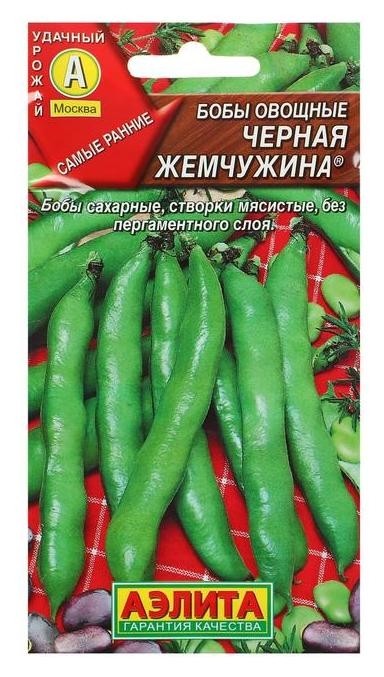 Семена Бобы овощные Черная жемчужина (стандарт)