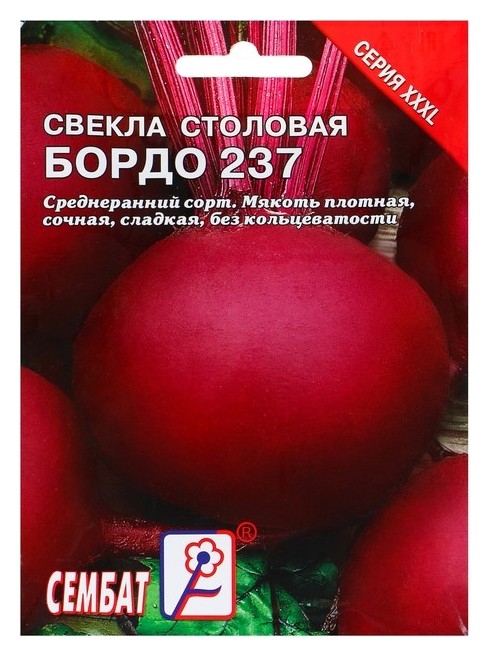 Семена хххl свекла Бордо 237