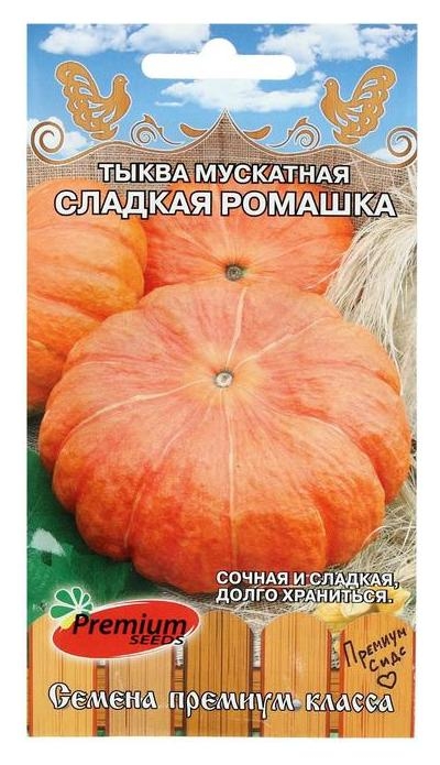 Семена тыква сладкая ромашка, 10 шт