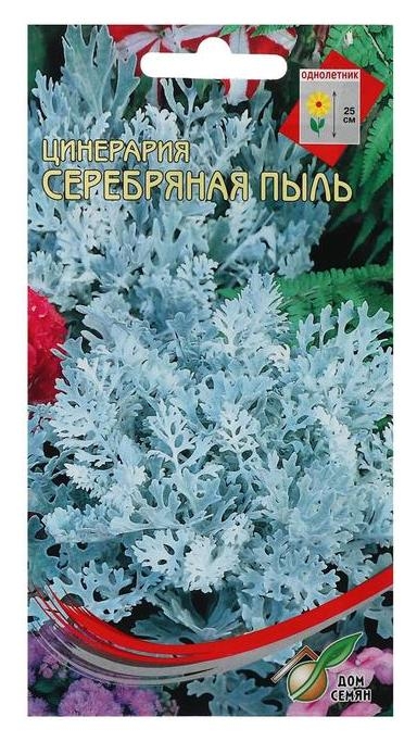 Семена цветов цинерария Серебряная пыль Дом семян, О, 130 шт