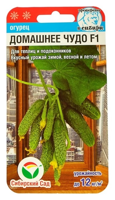 Семена огурец Домашнее чудо F1, раннеспелый, партенокарпический, 7 шт