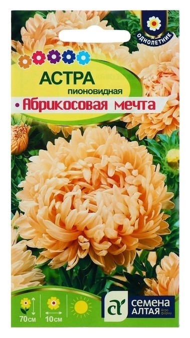 Семена цветов астра абрикосовая Мечта, О, 0,3 г.