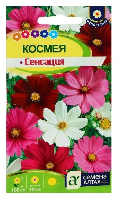 Семена цветов космея Сенсация, О, цп, 0,5 г