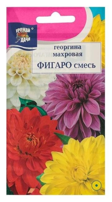 Семена цветов Цв георгина смесь Фигаро,0,2 гр