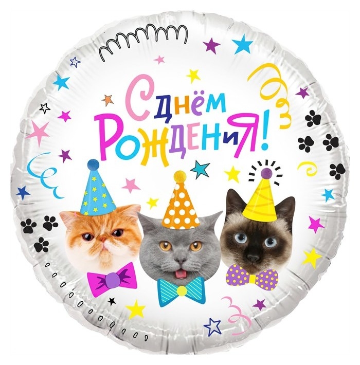 Шар фольгированный 18 «С днём рождения! котики», круг, в упаковке