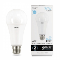 Светодиодные лампы Gauss Elementary A67 30W 2390lm 6500K E27, 10 шт (73239)