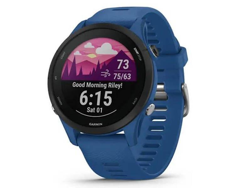 Умные часы Garmin Forerunner 255 Tidal Blue 010-02641-11