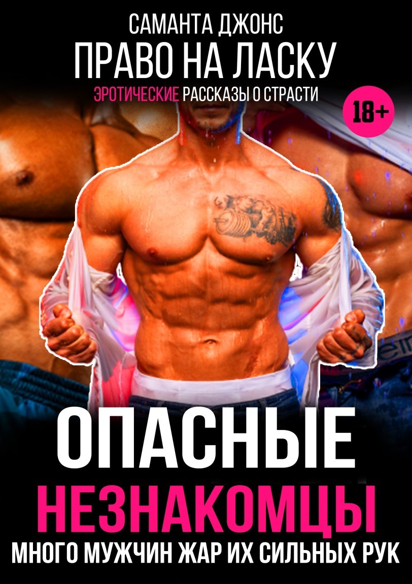 Опасные Незнакомцы. Право на Ласку. Много Мужчин. Жар их Сильных Рук. Эротические Рассказы о Страсти