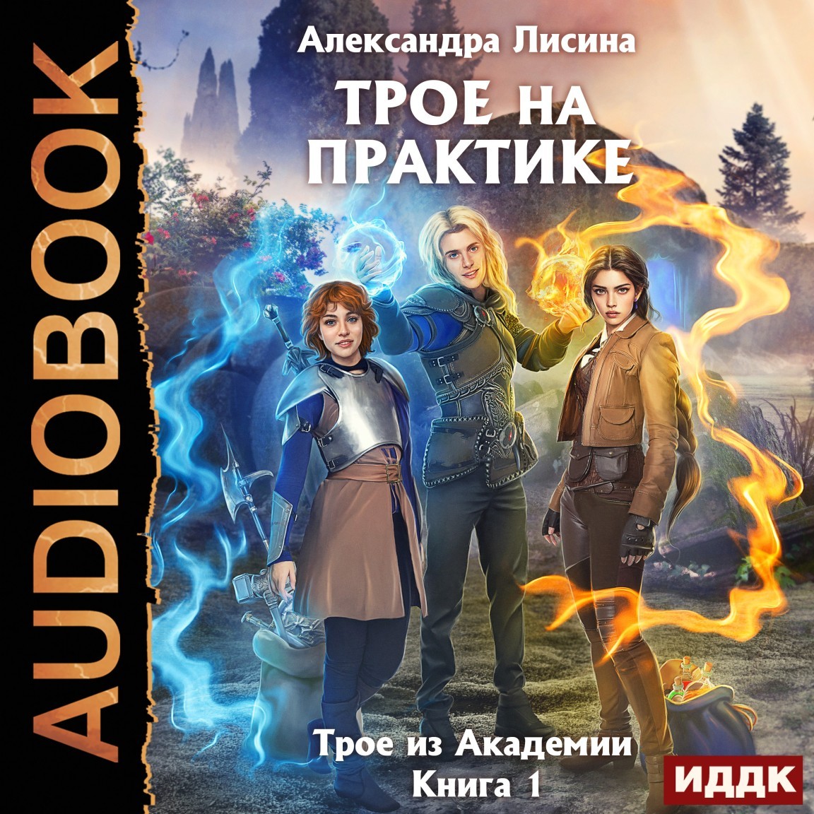 Трое из Академии. Книга 1. Трое на практике